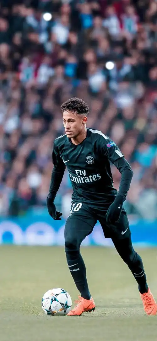 学习并借鉴 学习并借鉴