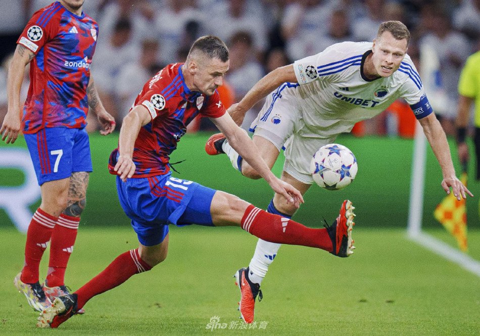 这些例子既 这些例子既